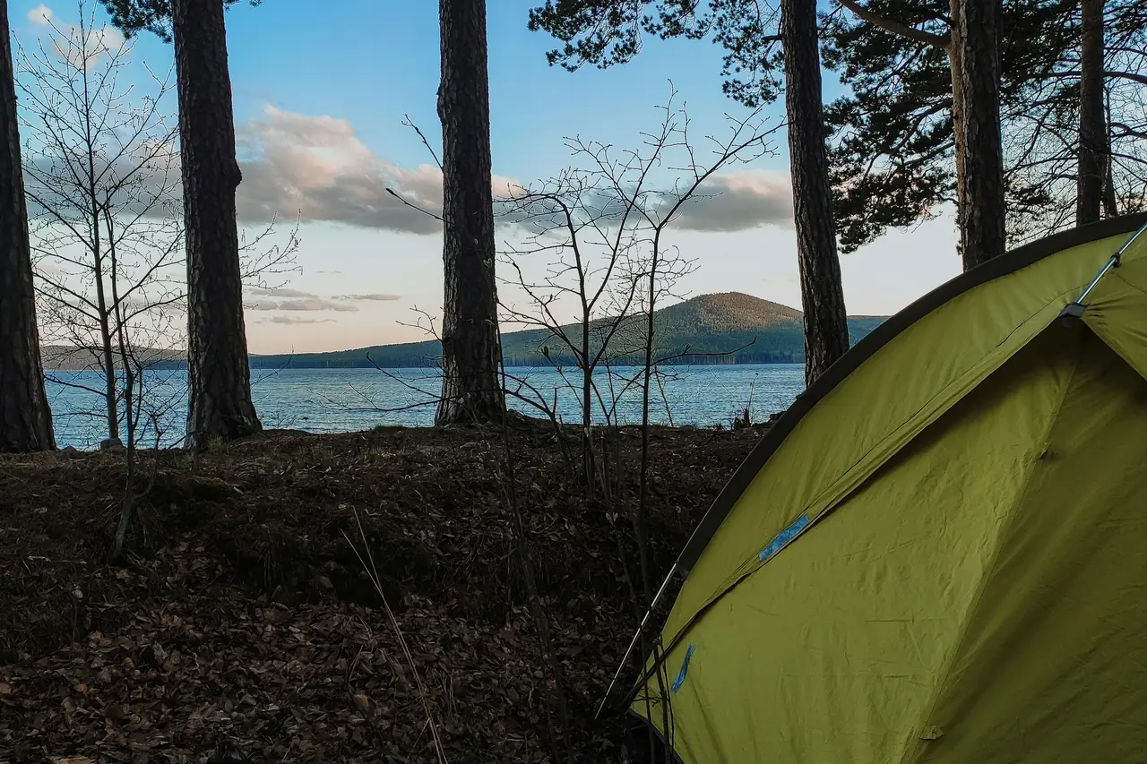 A green tent pitched among pine trees beside a lake